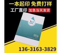 动漫设计宣传画册 创意与视觉的完美融合